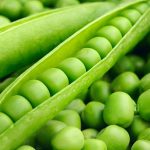 Green Peas