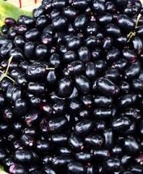 Black Plums