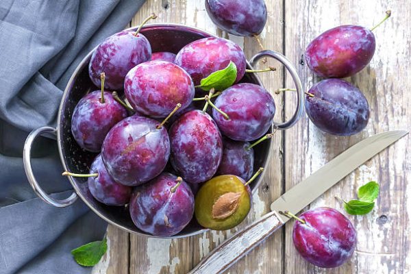 Farm Fresh Plums