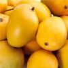 Ratol Mango Real taste of Mango
