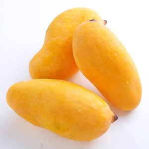 Sindhri Mango